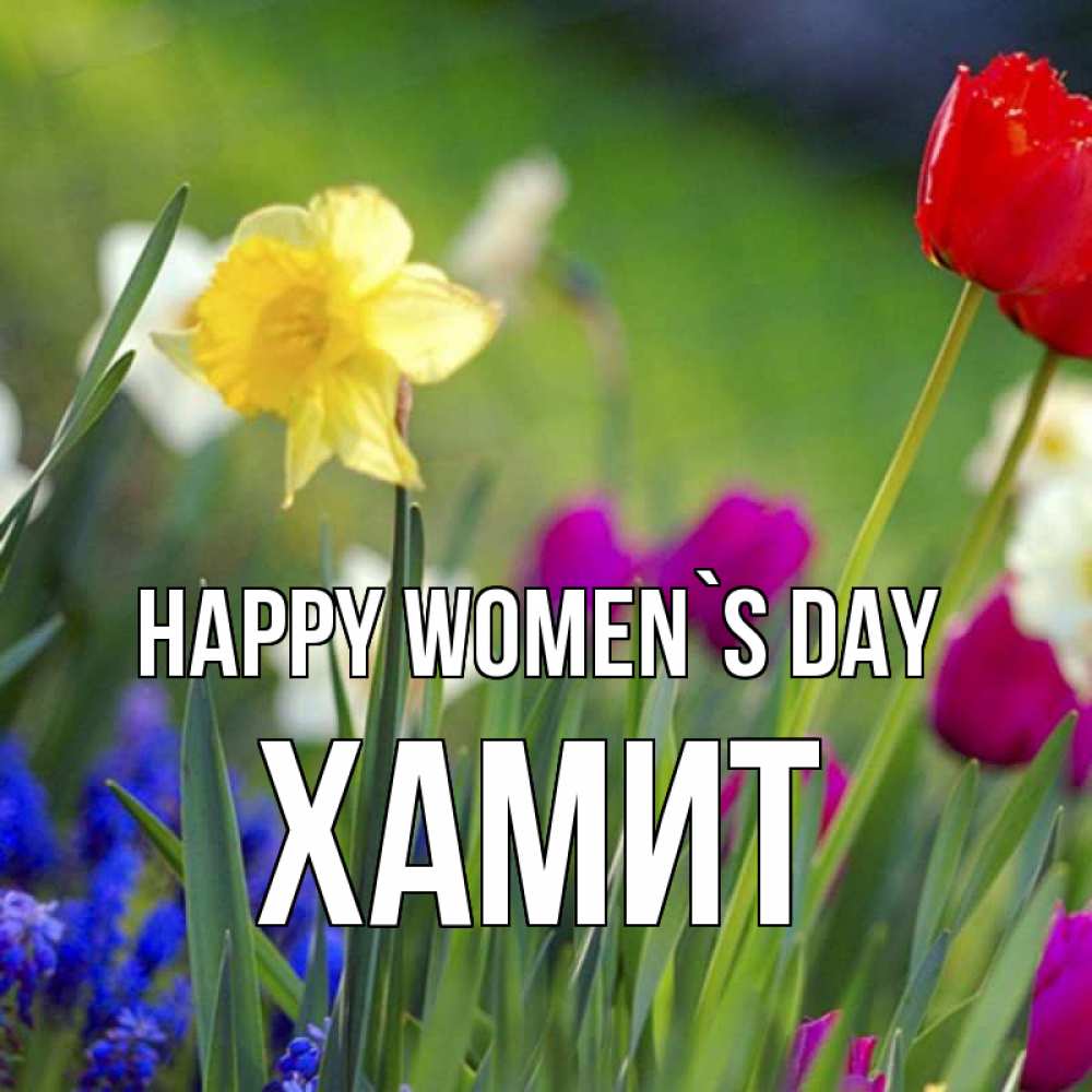 Greetings card с именем, ХАМИТ happy women`s day международный женский день 3 Greetings with text for free download 